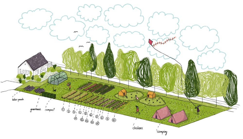 The garden