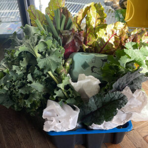 Seasonal Veg Box - October 2024