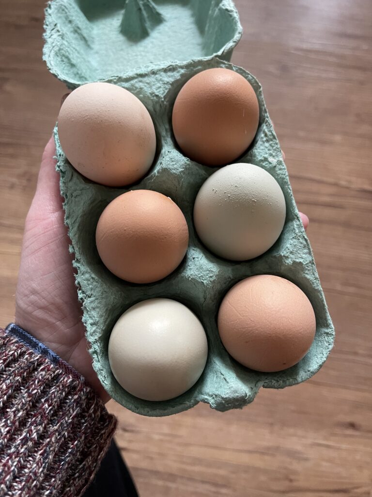 Eggs