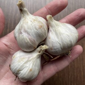 Garlic Mix