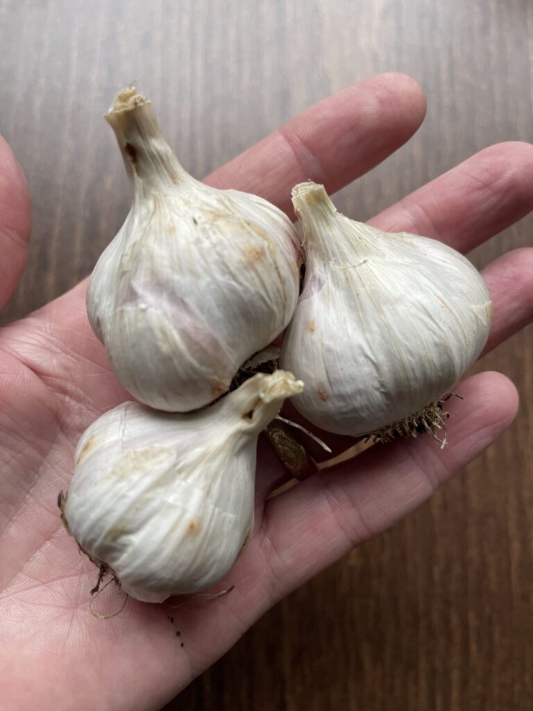 Garlic Mix